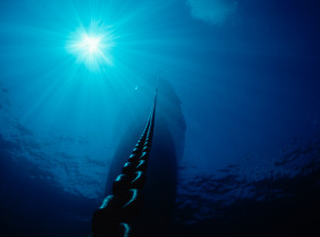 Światowy wyścig o wydobywanie metali z dna oceanu