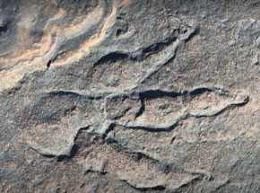 Walia: dziewczynka odkryła ślad dinozaura