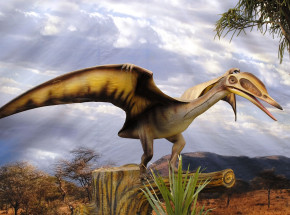 Pterozaury kontrolowały kolor swoich piór