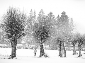 Holandia: pierwsza od dekady burza śnieżna