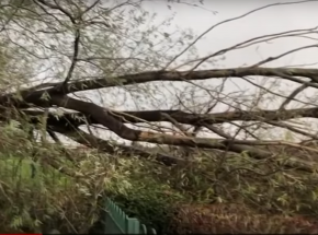 Anglia: 30 tysięcy domostw od pięciu dni pozostaje bez prądu