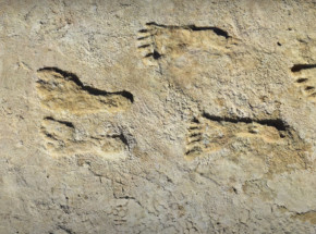 Najwcześniejsze dowody osiedlenia człowieka w obu Amerykach