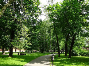 Katowice otrzymają 2,1 mln złotych na zielone inwestycje