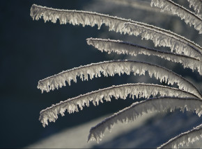 Dolnośląskie: wskutek wychłodzenia organizmu zmarły 2 osoby
