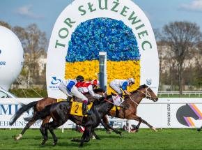 Jeździectwo - wyścigi: sezon na Służewcu rozpoczęty 