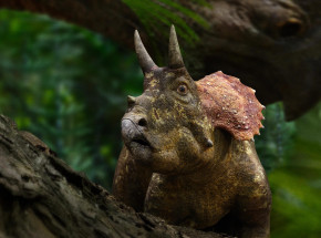 Nocne życie triceratopsów w nowym fragmencie „Prehistoric Planet”