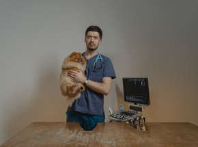 Australia: wysoki wskaźnik samobójstw wśród weterynarzy