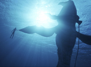 „Avatar: Istota wody” z datą premiery w dystrybucji cyfrowej