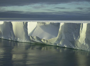 Odkryto nowe życie pod lodowcem szelfowym na Antarktydzie