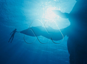 Stephen Lang powraca na nowym kadrze z „Avatara 2”