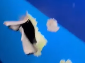 Katastrofa Embraera-190 w Kazachstanie. WIDEO. Czy rosyjska obrona przeciwlotnicza była powodem tragedii?