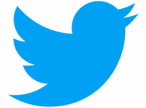 Twitter pracuje nad płatną subskrypcją