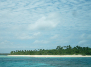 Królestwo Tonga: zarejestrowano pierwszy przypadek COVID-19