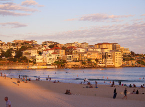 Sydney: zamknięto kilka plaż z powodu ataku rekinów na delfina