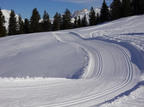 ZIO za 58 dni: rozpoczęto proces naśnieżania tras olimpijskich