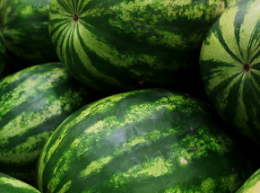 Moskwa: śledztwo w sprawie babci i wnuczki, które zmarły po zjedzeniu arbuza