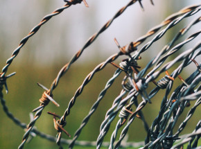 Budowa zapory na granicy polsko-białoruskiej rozpocznie się w grudniu
