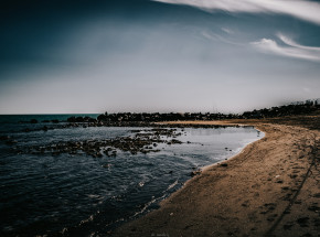 Hiszpania: tony martwych ryb i skorupiaków wyrzucone przez fale