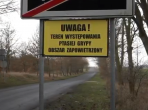 Mazowieckie: protest przeciwko grzebowisku ptaków