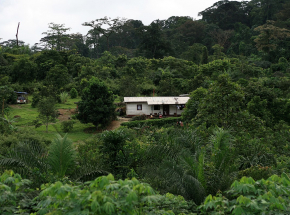 Kamerun: dwunastu zabitych w samobójczym ataku 