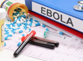 Pierwszy przypadek Eboli we Francji: Chory lekarz wrócił z Kongo