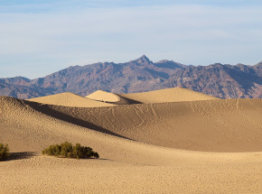 Czad: na pustyni znaleziono ciała 27 osób 