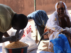 Berlin: konferencja poświęcona światowemu kryzysowi żywnościowemu