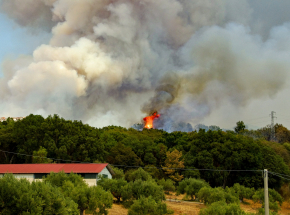 Australia: pożar lasu. Trwa akcja gaśnicza [AKTUALIZACJA]