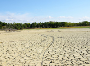 Włochy: stan wyjątkowy z powodu poważnej suszy