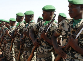 Mali: jedenastu żołnierzy zginęło w zasadzce