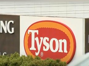 USA: wycofano 4 tys. ton produktów drobiowych z powodu skażenia bakterią