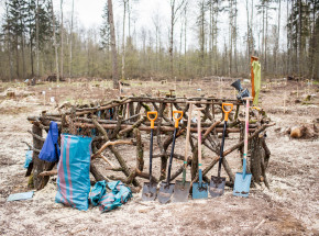 Powstanie WROsoundowy las