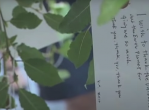 „Drzewo życzeń” Yoko Ono trafia do sieci