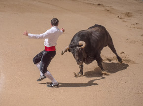 Hiszpania: byk uciekł z areny i został staranowany przez kierowców
