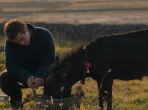 W teatrze życiowych smutków - „Duchy Inisherin” Martina McDonagha [RECENZJA]