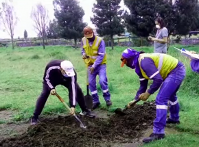 Ekwador: dwa psy powieszone na moście w Quito