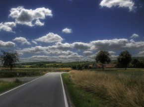 Mazowsze: znaleziono zwłoki mężczyzny na polu