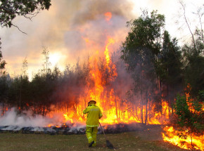 ONZ ostrzega przed rosnącą intensywnością i częstotliwością pożarów
