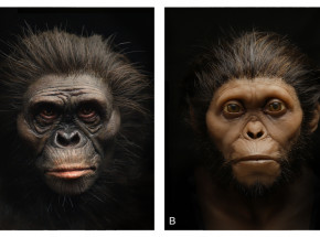 Australia: zrekonstruowano twarz kobiety sprzed 3,2 mln lat