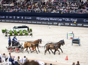 Jeździectwo – Cavaliada: Fularczyk mistrzem powożenia