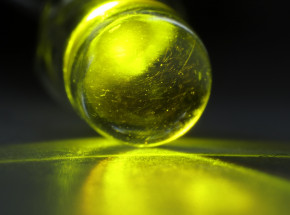 Czy roślina może emitować światło? 