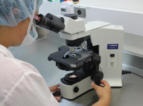 Według badań najbrudniej jest w Poznaniu. Najczystsze miasto to Łódź