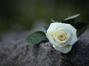 Hiszpania: dzień upamiętniający ofiary dyktatury Franco