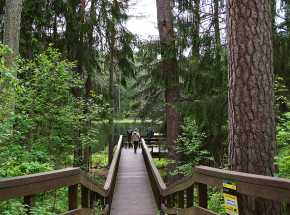 Nowe opłaty za wstęp do parków narodowych