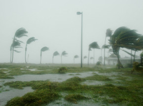 USA: liczba zgonów z powodu klęsk żywiołowych osiągnęła najwyższy poziom od 10 lat