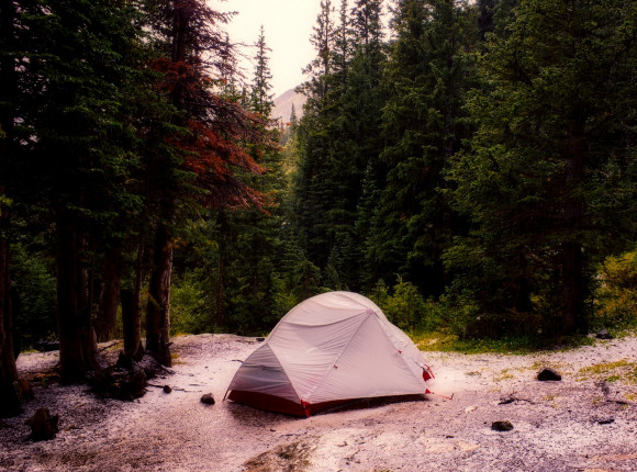 Utah: po 6 miesiącach odnaleziono w lesie zaginioną kobietę