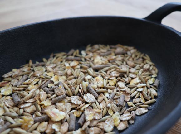 Rosja wstrzymuje import pasz z Niemiec