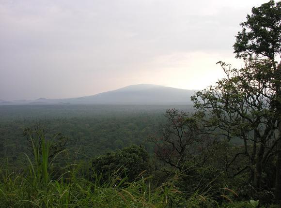 Demokratyczna Republika Konga: zabito sześciu strażników Parku Narodowego Wirunga