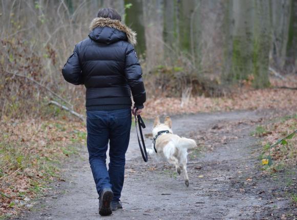 Gdańsk: pokłócili się o psa spuszczonego ze smyczy. Doszło do pobicia