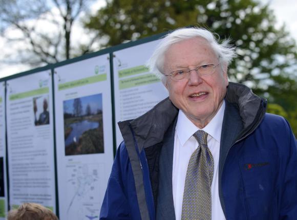 ,,Planeta doskonała" - nowy serial dokumentalny z udziałem Davida Attenborough